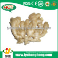 China Air Dried Ginger With 30Lbs/Plastic Carton
